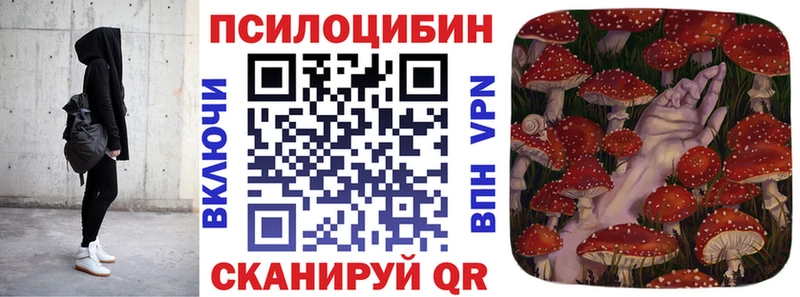 Псилоцибиновые грибы Psilocybine cubensis  Орлов 